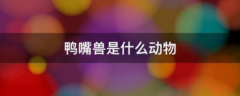 鸭嘴兽是什么动物
