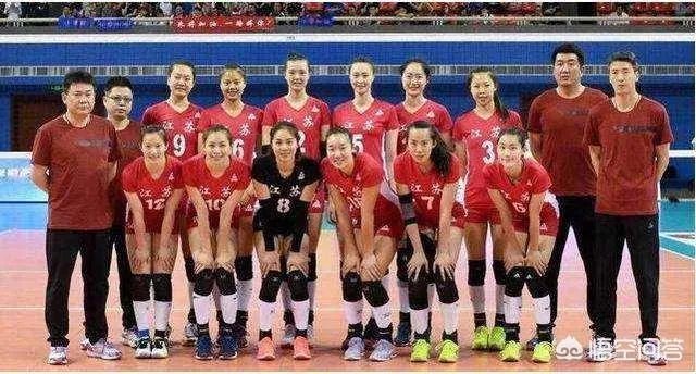 江苏女排是美少女队吗?