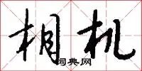 相机