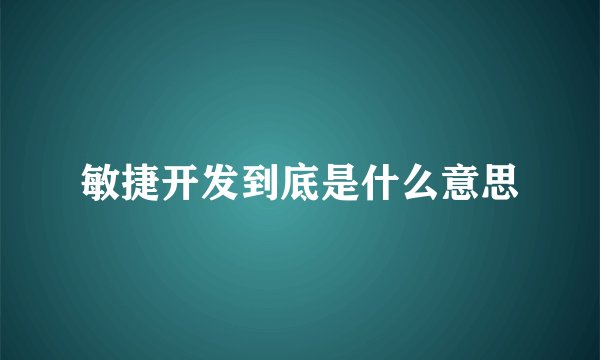 敏捷开发到底是什么意思