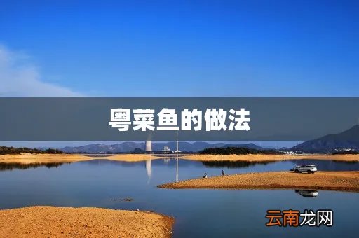 粤菜鱼的做法