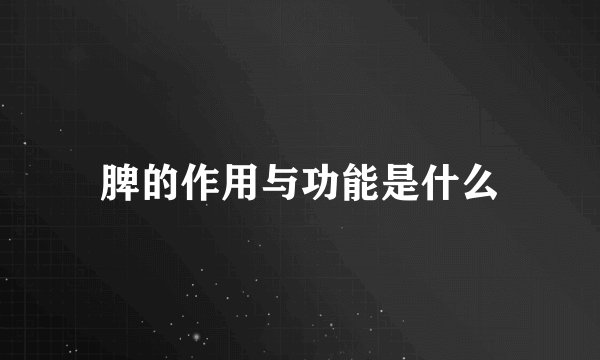 脾的作用与功能是什么