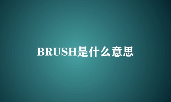 BRUSH是什么意思