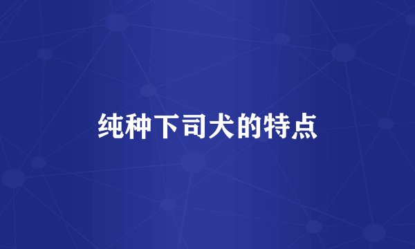 纯种下司犬的特点