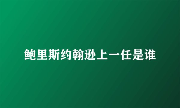 鲍里斯约翰逊上一任是谁