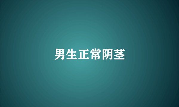 男生正常阴茎