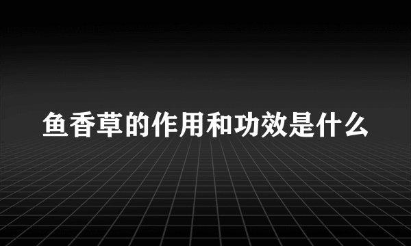 鱼香草的作用和功效是什么