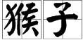 猴子用英语怎么说