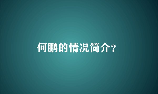 何鹏的情况简介?