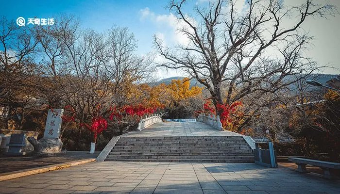 花果山在哪里