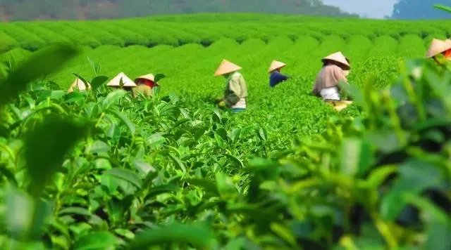 信阳现在的房价大概是多少钱?