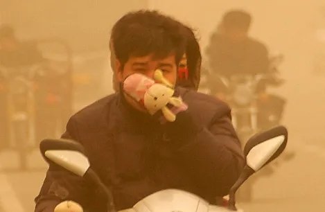 浮尘是什么意思?