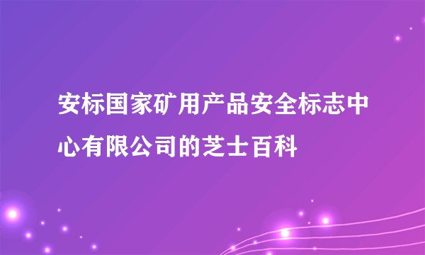 安标国家矿用产品安全标志中心有限公司的芝士百科