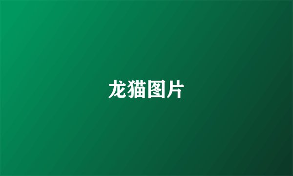 龙猫图片