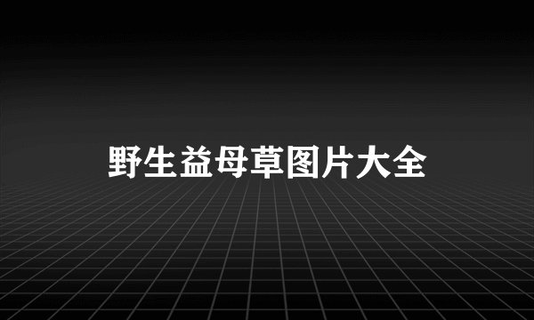 野生益母草图片大全