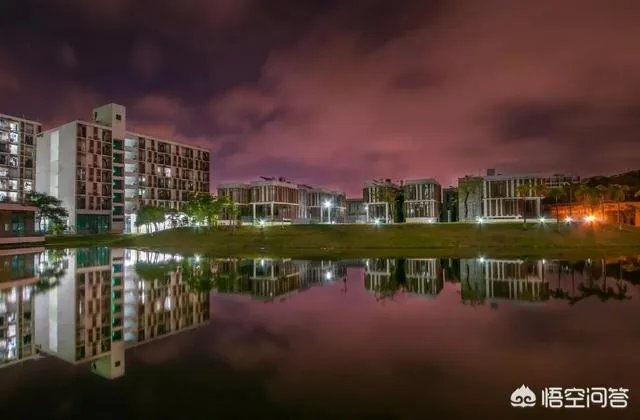 南方科技大学怎么样?