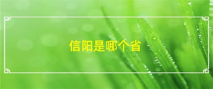 信阳是哪个省