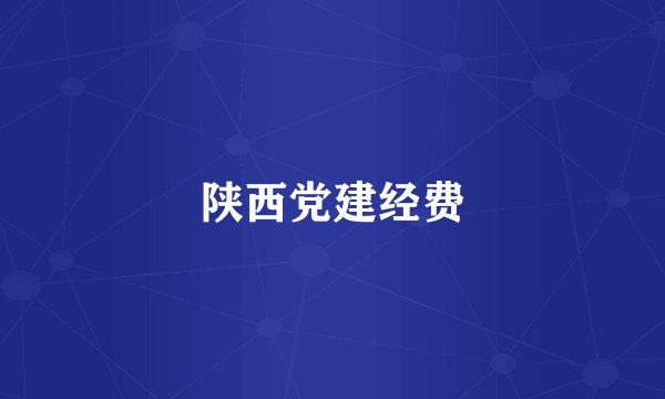 陕西党建经费