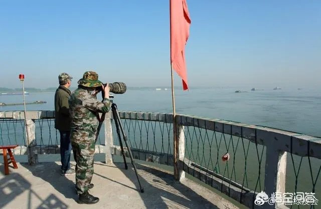 白鱀豚是怎样灭绝的