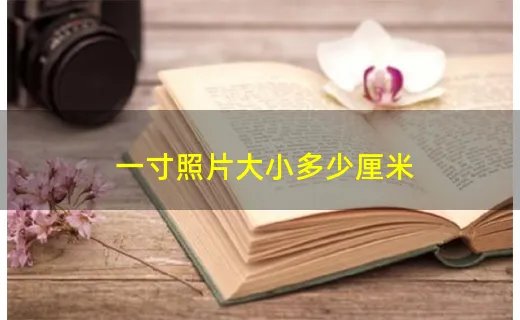 一寸照片大小多少厘米