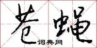 苍蝇