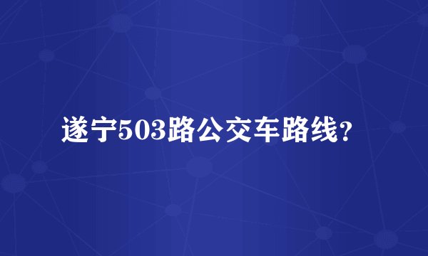 遂宁503路公交车路线?