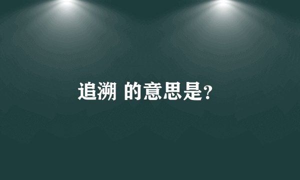 追溯 的意思是？