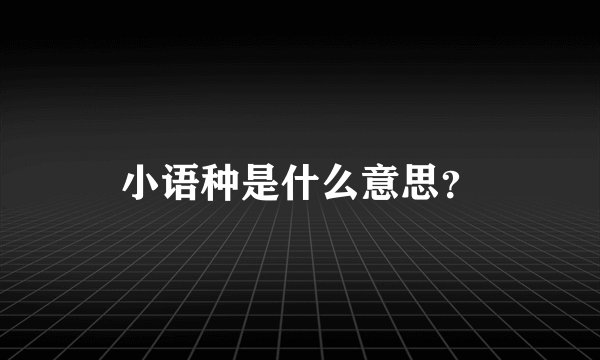 小语种是什么意思？