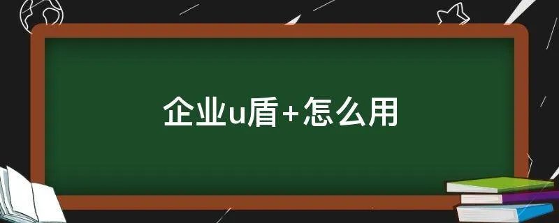 企业u盾 怎么用