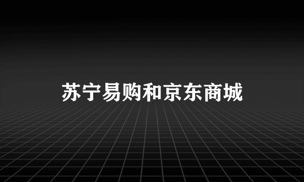 苏宁易购和京东商城