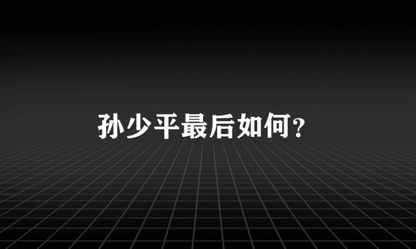 孙少平最后如何？