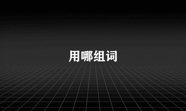 用哪组词