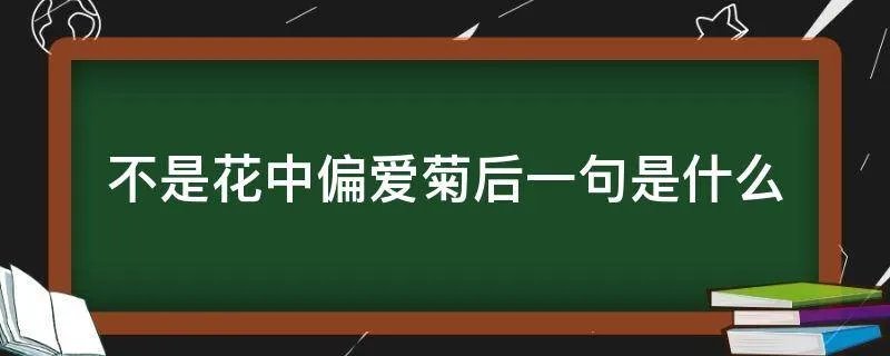 不是花中偏爱菊后一句是什么