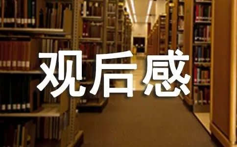 《夺冠》观后感
