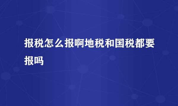 报税怎么报啊地税和国税都要报吗