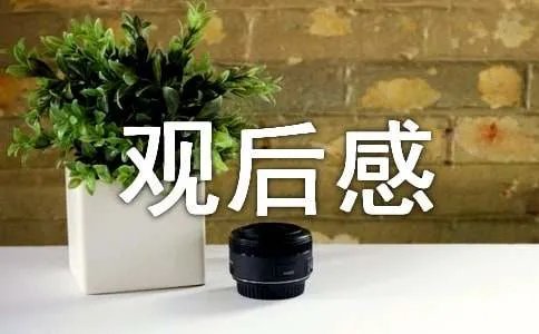 《攀登者》观后感