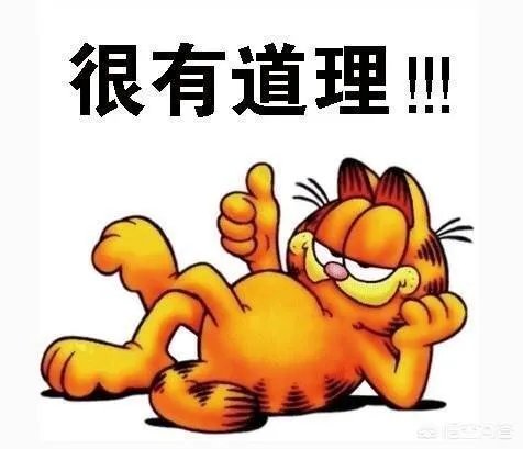 宽容是什么?