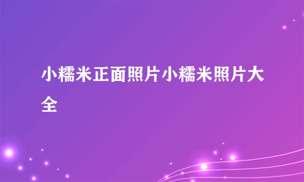 小糯米正面照片小糯米照片大全
