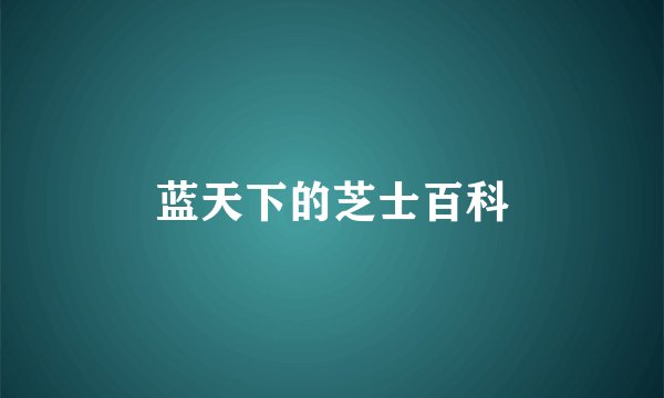 蓝天下的芝士百科