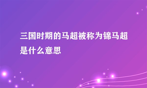 三国时期的马超被称为锦马超是什么意思