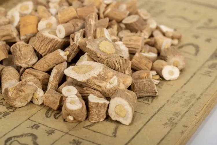 板蓝根的图片