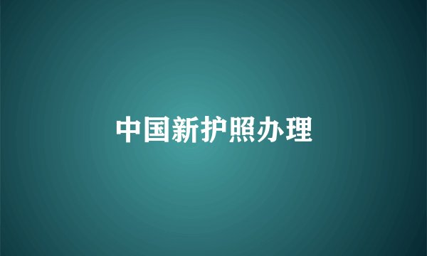 中国新护照办理