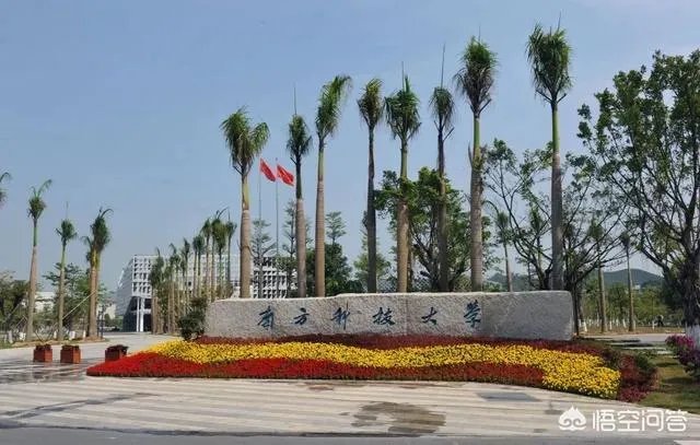 南方科技大学怎么样?