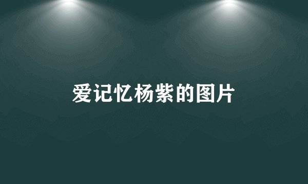 爱记忆杨紫的图片