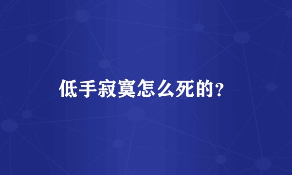 低手寂寞怎么死的?