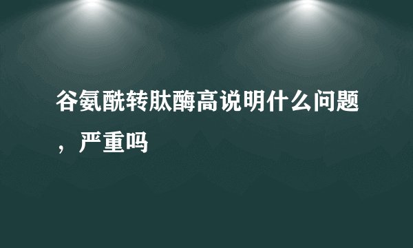 谷氨酰转肽酶高说明什么问题，严重吗
