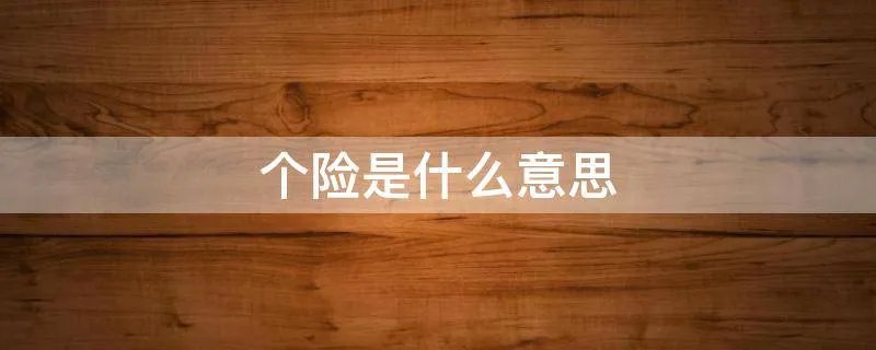 个险是什么意思