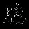 胞