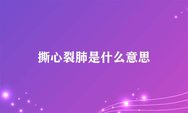 撕心裂肺是什么意思