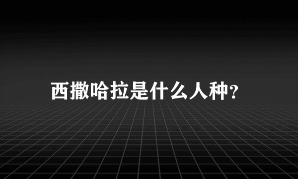 西撒哈拉是什么人种？